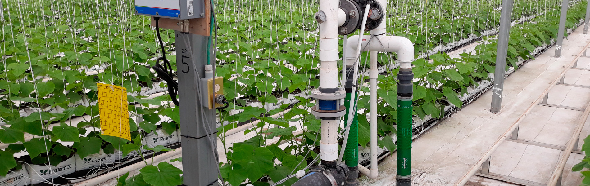 AQUA4D Irrigation en eau saline AQUA4D